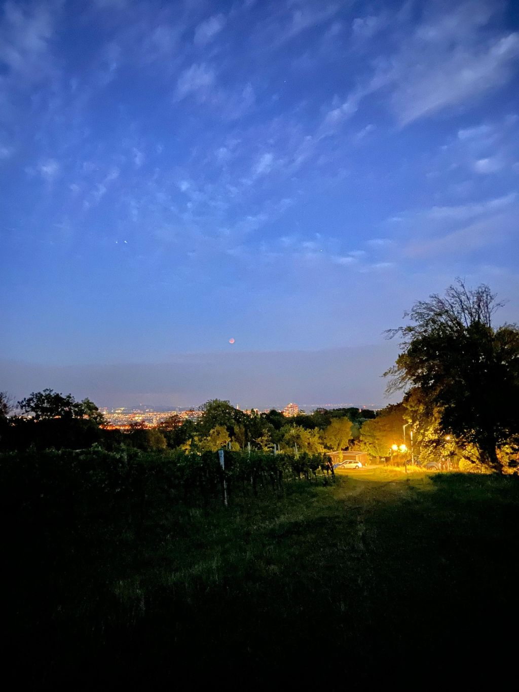 Vienna seen from a hill at night with full moon